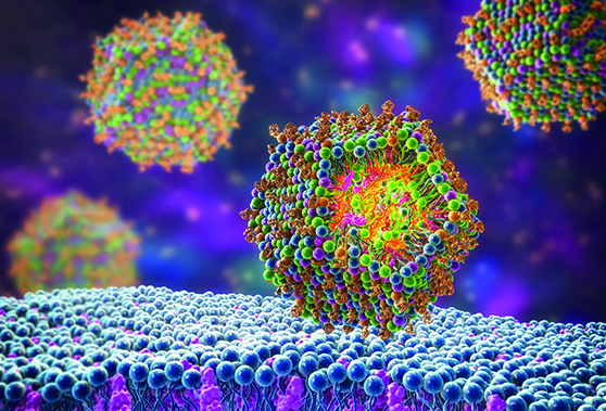 Harness the Power of Lipid Nanoparticles (LNPs) for Next-Gen Therapeutics